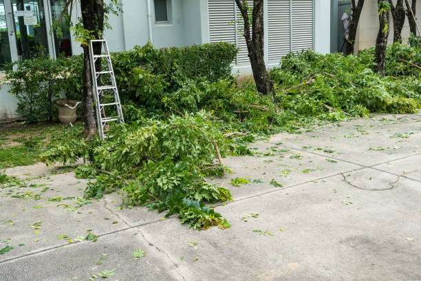 Best Lawn Grading and Leveling  in Long Beach, WA
